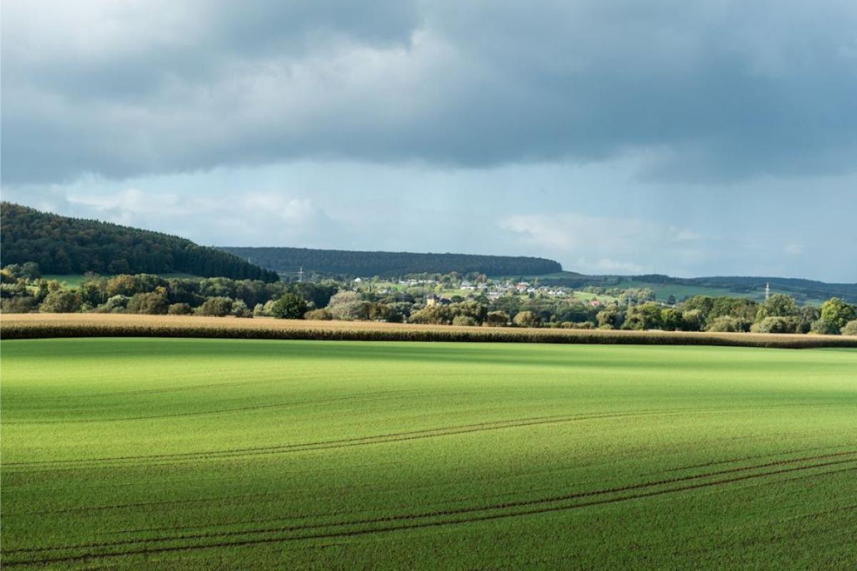 Paesaggio rurale - Foto di Wolfgang Weiser: https://www.pexels.com/it-it/foto/ampi-campi-verdi-a-hoxter-germania-28691843/