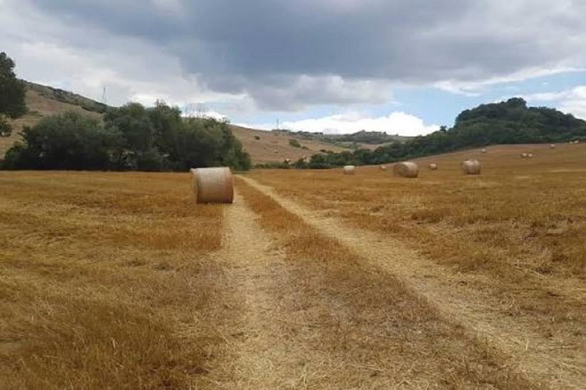 paesaggio-rurale